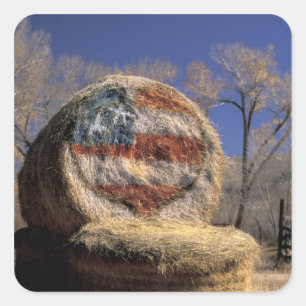 Adesivo Quadrado NA, EUA, Colorado, Gunnison. Rolo de feno patrióti