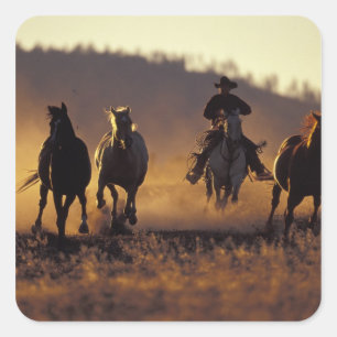 Adesivo Quadrado NA, EUA, Oregon, Seneca, Ponderosa Ranch, Cowboy 2