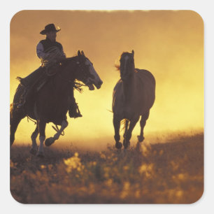 Adesivo Quadrado NA, EUA, Oregon, Seneca, Ponderosa Ranch, Cowboy 3