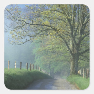 Adesivo Quadrado NA, EUA, Tennessee, Cades Cove, Enfumaçado Excele