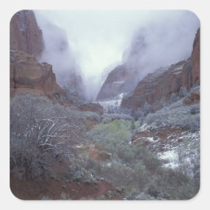Adesivo Quadrado NA, EUA, Utah, Zion NP, Tempestade de neve na prim
