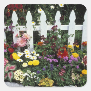 Adesivo Quadrado NA, EUA, Washington, Sammamish, Picket branco