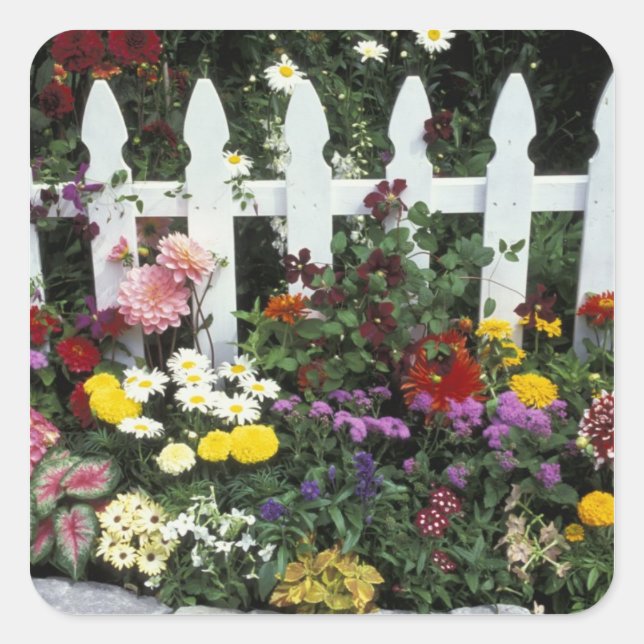 Adesivo Quadrado NA, EUA, Washington, Sammamish, Picket branco (Frente)