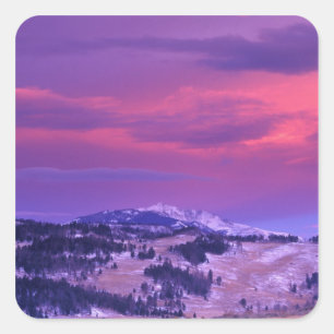 Adesivo Quadrado NA, EUA, Wyoming, Yellowstone NP, Lamar Valley