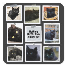 Nada Melhor Que Um Gato Negro