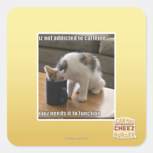 Adesivo Quadrado Não é viciado à cafeína