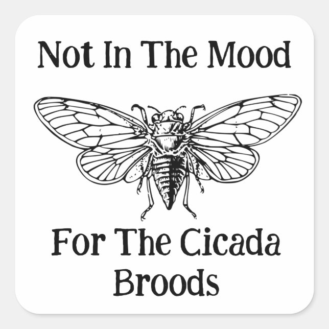 Adesivo Quadrado Não Está No Humor Para As Florestas De Cicada (Frente)