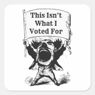 Adesivo Quadrado Não foi por isso que votei