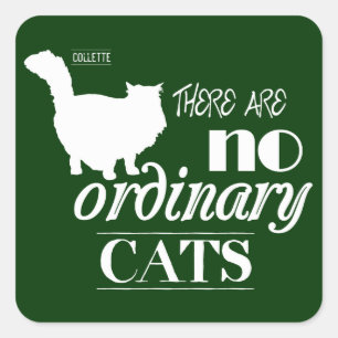 Adesivo Quadrado Não há nenhum gato ordinário