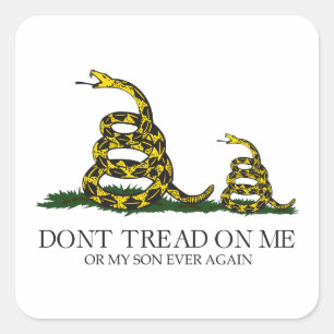 Adesivo Quadrado Não Pise em Mim ou No Meu Filho Bandeira Gadsden M