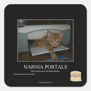 Adesivo Quadrado Narnia Portals