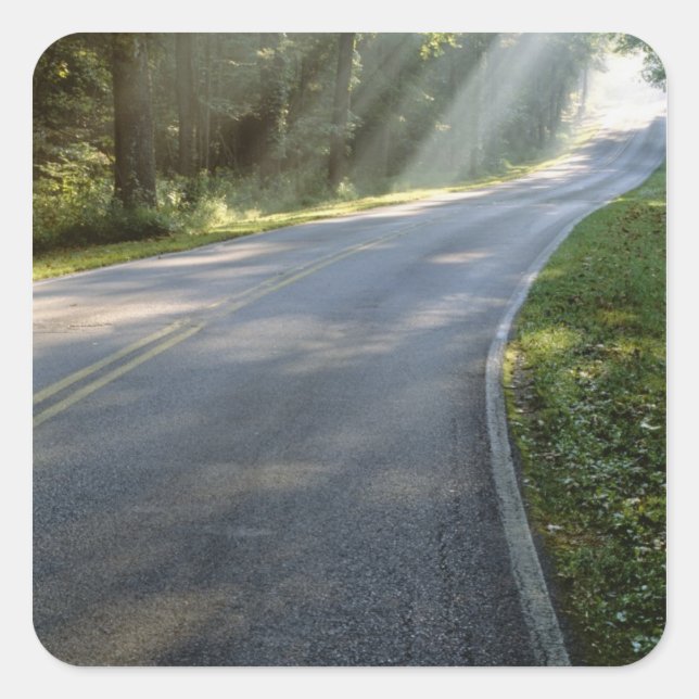 Adesivo Quadrado nascer do sol através da névoa ao lado do rio Verd (Frente)