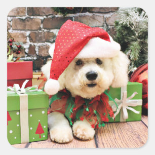 Adesivo Quadrado Natal - Bichon Frise - Daisy