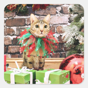 Adesivo Quadrado Natal - gato de Bengal - Jack