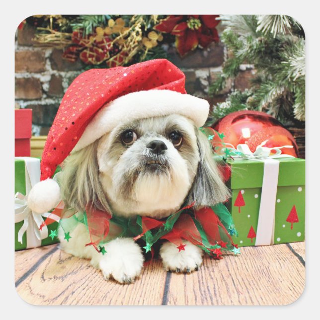 Adesivo Quadrado Natal - Shih Tzu - aparelho (Frente)