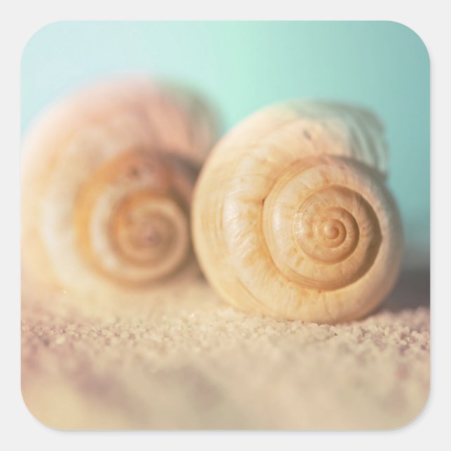 Adesivo Quadrado Nautilus Shells On Beach (Frente)