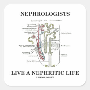 Adesivo Quadrado Nefrologistas Vivem Uma Vida Nefítica (Nephron)