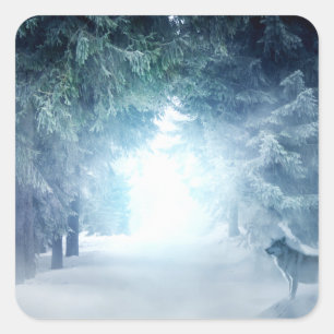 Adesivo Quadrado Neve de inverno com lobos na Floresta Evergreen