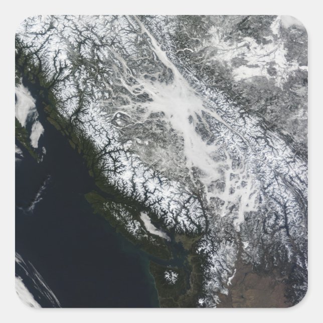 Adesivo Quadrado Nevoeiro e neve na Colúmbia Britânica (Frente)