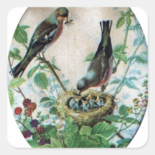 Adesivo Quadrado Ninho da Alegria: Amor Jovem Espirituoso da Famíli