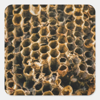 Adesivo Quadrado Ninho vazio