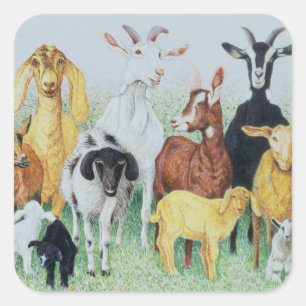 Adesivo Quadrado No trevo