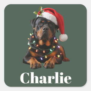 Adesivo Quadrado Nome Personalizado Cachorro Rottweiler Natal 