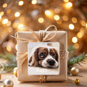 Adesivo Quadrado Nome personalizado de fotografia de animal quadrad