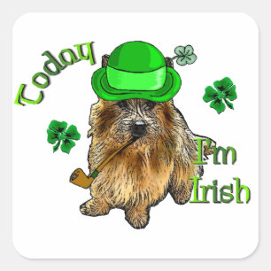 Adesivo Quadrado Norwich Terrier St Patricks