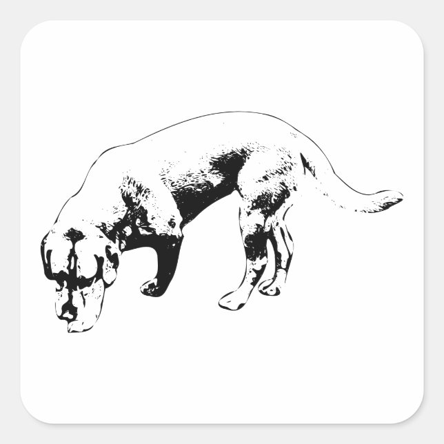 Adesivo Quadrado Nose Estável para Terra (Frente)