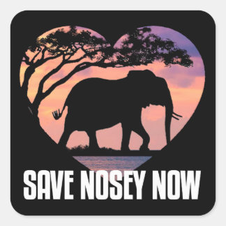 Adesivo Quadrado Nosey Sticker. Decal