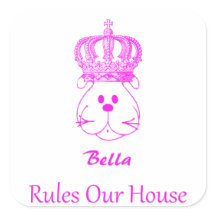 Nosso Cachorro governa nosso palito