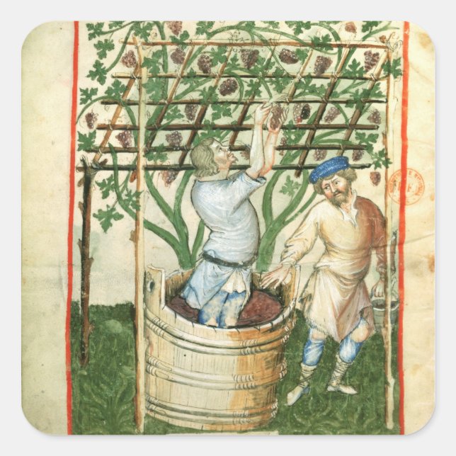 Adesivo Quadrado Nouv Acq Lat Recolha e prensagem de uvas (Frente)