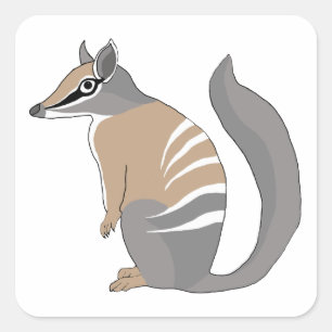 Adesivo Quadrado Numbat