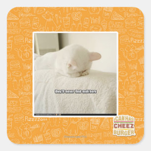 Adesivo Quadrado nunca encontrarão o meh aqui