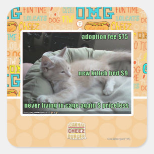 Adesivo Quadrado Nunca vivendo em uma gaiola outra vez