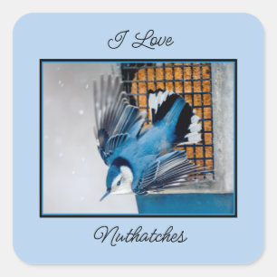 Adesivo Quadrado Nuthatch Branca em Neve - Foto original