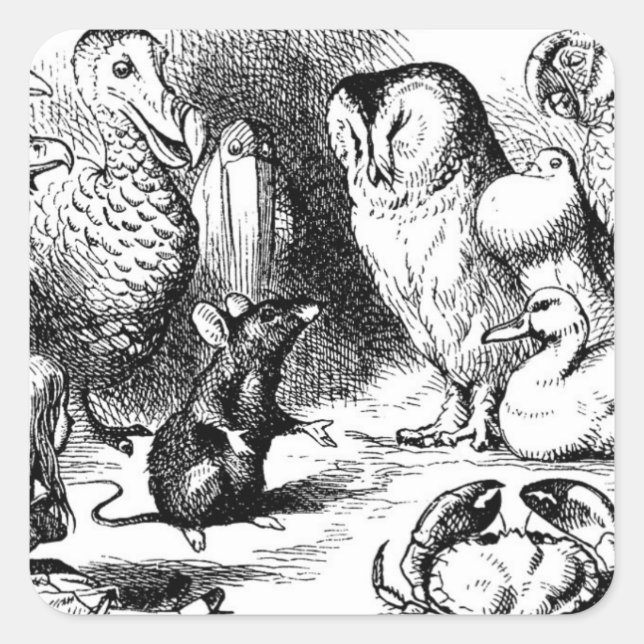 Adesivo Quadrado O Dormouse conta uma história (Frente)