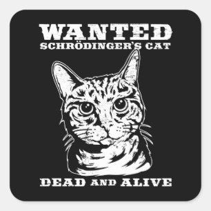 Adesivo Quadrado O gato de Schrodinger queria morto ou vivo