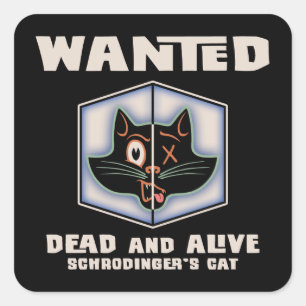 Adesivo Quadrado O gato de Schrodinger querido