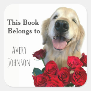 Adesivo Quadrado O golden retriever com rosas personalizou o