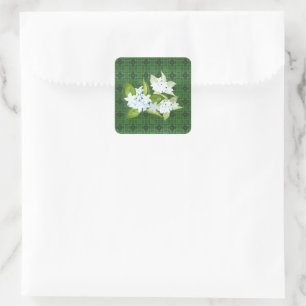 Adesivo Quadrado O jasmim floresce o nome customizável