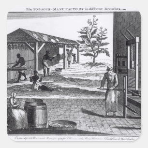 Adesivo Quadrado O Manufactory do tabaco em ramos diferentes