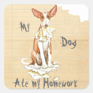 Adesivo Quadrado O Meu Hound Ibizan Comeu O Meu Trabalho De Casa