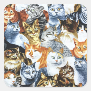 Adesivo Quadrado O Palhaço dos GATOS