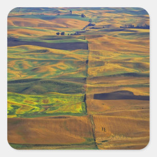 Adesivo Quadrado O Palouse a partir de Steptoe Butte, Colfax,