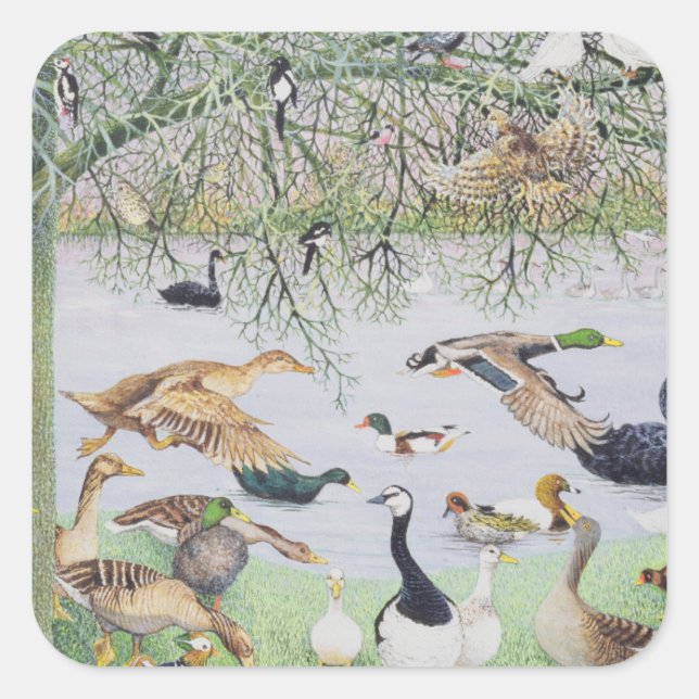 Adesivo Quadrado O Pato Ímpar (Frente)