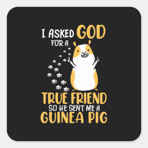 Adesivo Quadrado O Porco Da Guiné É Verdadeiro Amigo.