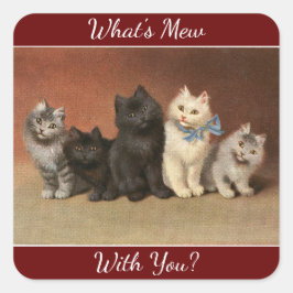 Adesivo Quadrado O que é Mew Cats Sticker