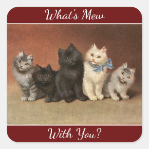 Adesivo Quadrado O que é Mew Cats Sticker